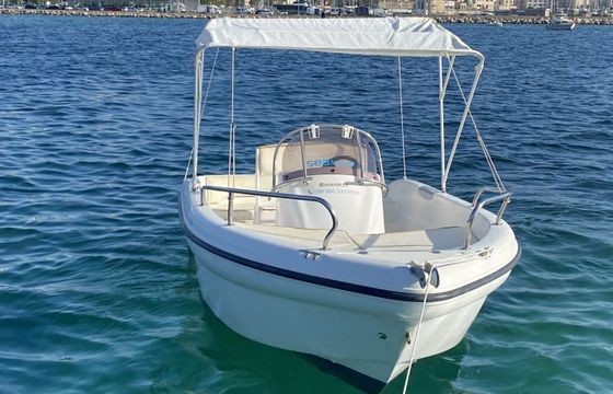 Motorboat Ranieri Shark 17