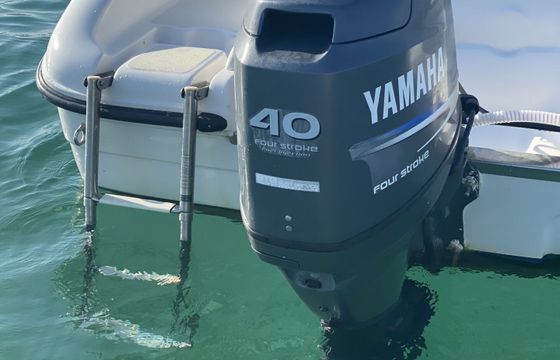 Motorboat Ranieri Shark 17