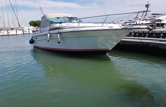 Motorboat Sea Ray 390 Express Cruiser 700hp