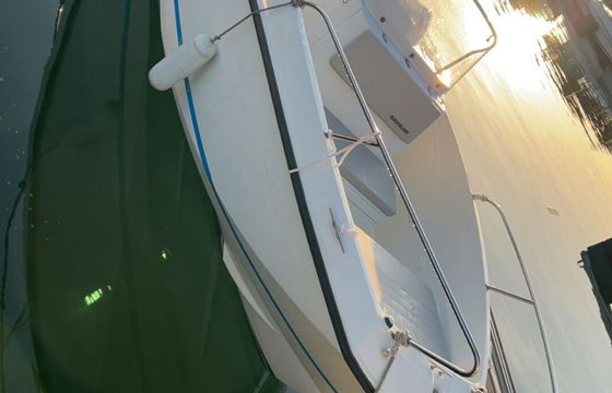 Motorboat Quicksilver Activ 555 Open