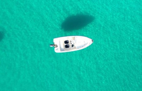Boat without licence Yanmarine Yanmarine 5.80mt 40hp
