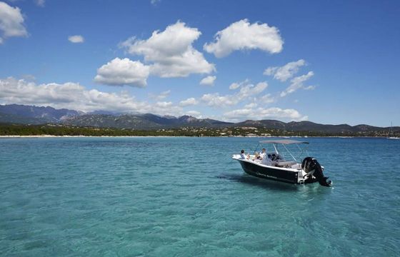 Motorboat TIBURON 230 Sundeck 175hp