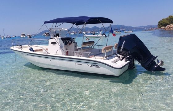 Motorboat Boston Whaler (Refit 2025) 22 Dauntless 225hp