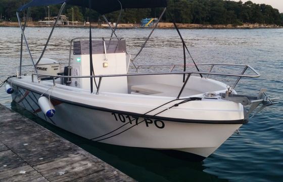 Motorboat Polyform Triakis 17.5 75hp