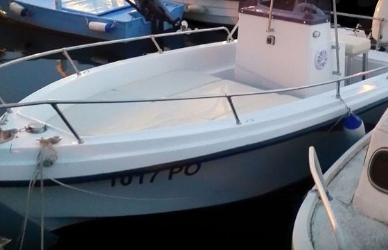 Motorboat Polyform Triakis 17.5 75hp