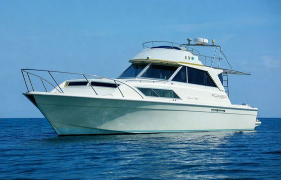 Motorboat Chris Craft 11 Fly 392hp