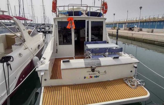 Motorboat Chris Craft 11 Fly 392hp