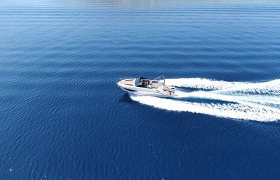 Motorboat Quicksilver Activ 755 Cruiser 250hp