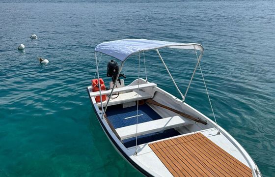 Motorboat Elan Elan 401 15hp