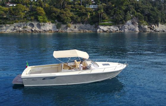 Motorboat Asterie 35 760hp