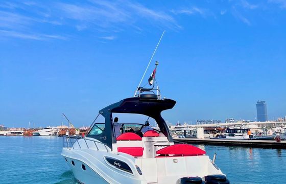 Motorboat Oryx 2007 2hp