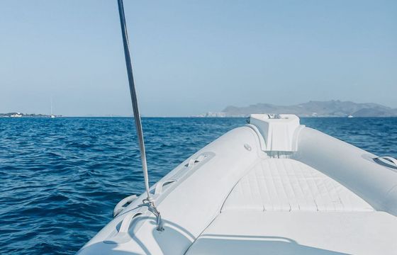 Motorboat Northstar 600RX 150hp