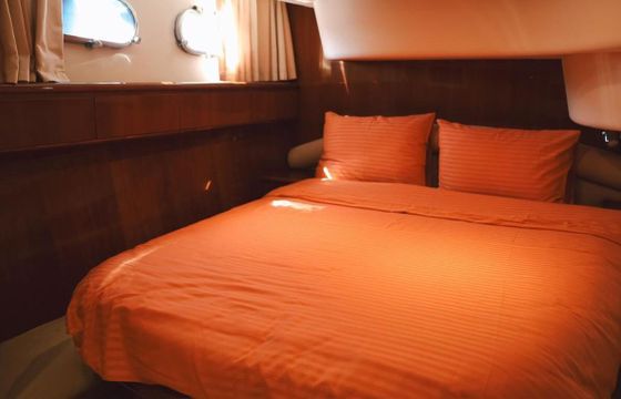 Motorboat Princess 50 Princess 50 flybridge 600hp
