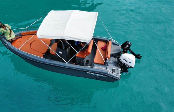 Motorboat Poseidon Blue Water 60hp