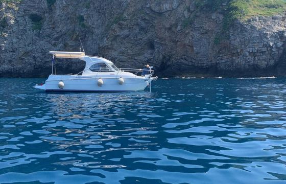 Motorboat Beneteau Antares 7 150hp