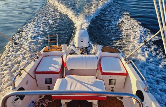 Motorboat Elan Fisherman 450 with 50hp 50hp