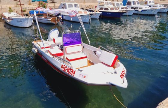 Motorboat Elan Fisherman 450 with 50hp 50hp