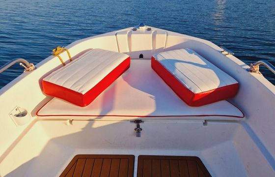 Motorboat Elan Fisherman 450 with 50hp 50hp