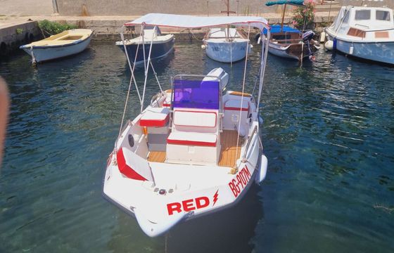 Motorboat Elan Fisherman 450 with 50hp 50hp