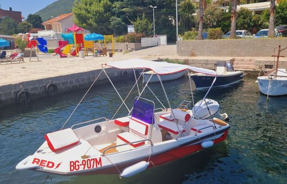 Motorboat Elan Fisherman 450 with 50hp 50hp