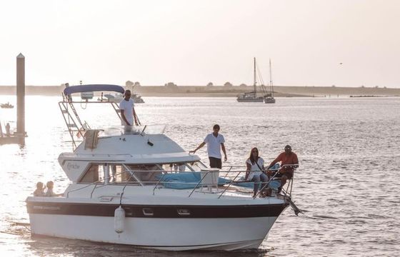 Motorboat Fairline corniche 31 500hp