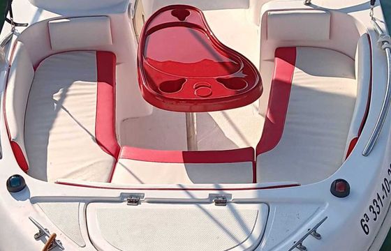 Motorboat monday 480 SD 60hp