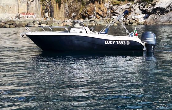 Motorboat Allegra ALL21SUN 150hp