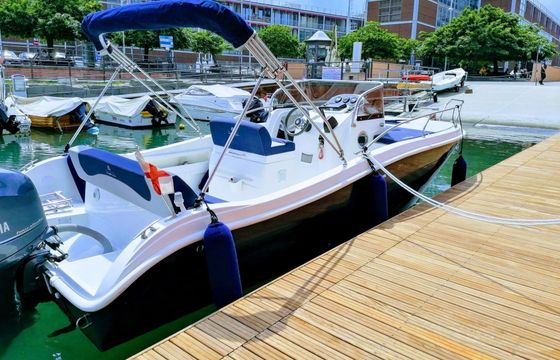 Motorboat Allegra ALL21SUN 150hp
