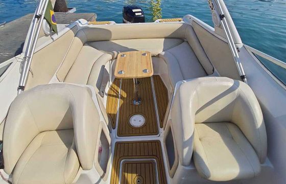 Motorboat Runner 26 150hp