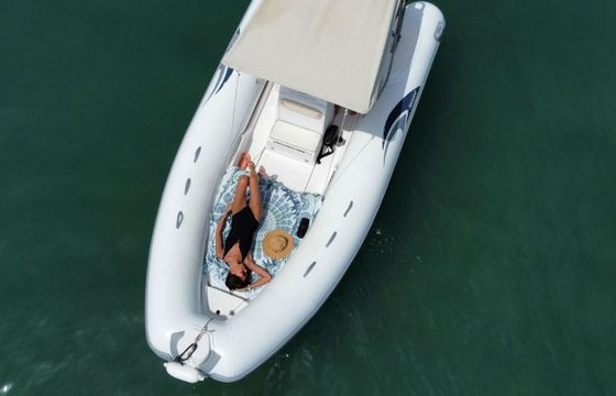 Boat without licence  Master Predator 5.50 40hp