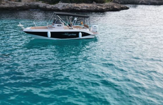 Motorboat Trimarchi Marge 23 200hp