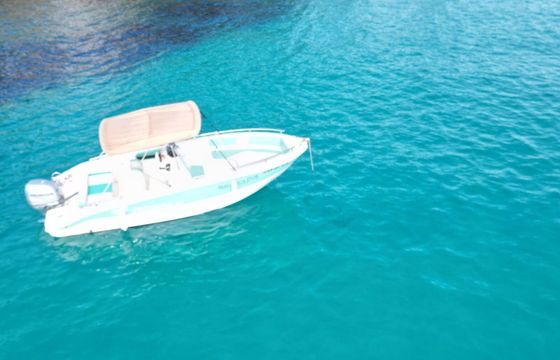 Motorboat Trimarchi Marge 23 200hp