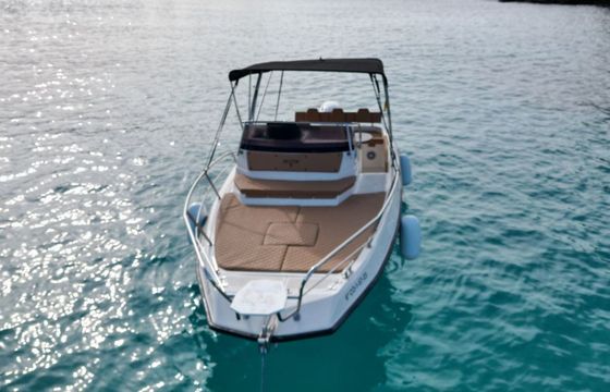 Motorboat Trimarchi Marge 23 200hp
