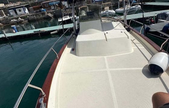 Motorboat Di Luccia Vega 750 150hp