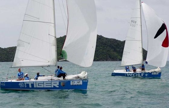 Sailboat The Platu One Design Class The Tiger 7.6m