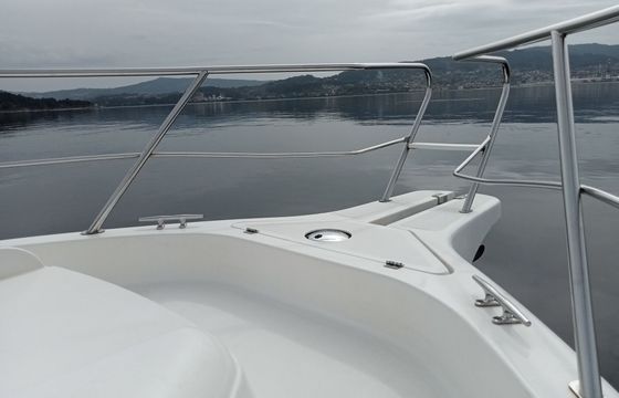 Motorboat Faeton 730 sport 180hp