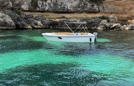 Boat without licence  MARION 500 15hp