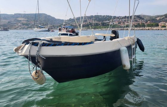 Boat without licence  prusa marine 450 6hp