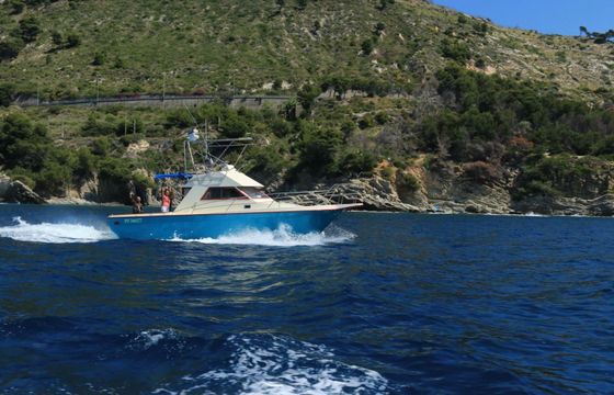Motorboat ARCOA 1080 FISHING 400hp