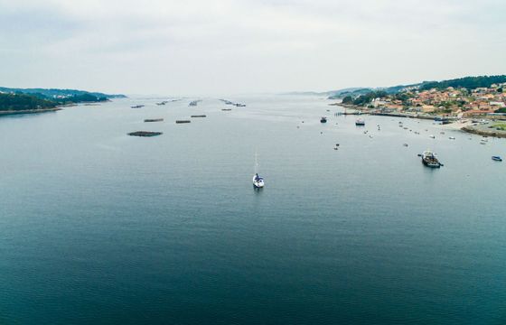 Sailboat Jeanneau Sun odyssey 39i 12m