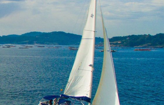 Sailboat Jeanneau Sun odyssey 39i 12m