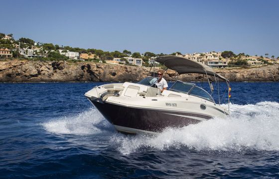 Motorboat Searay 280 Sun Deck 499hp