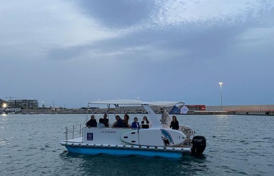 Boat without licence Trimarano alvi 40hp