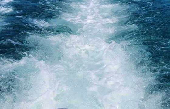 Boat without licence Trimarano alvi 40hp