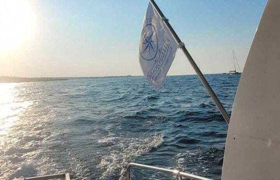 Boat without licence Trimarano alvi 40hp