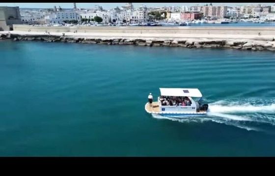 Boat without licence Trimarano alvi 40hp