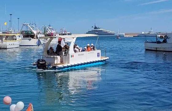 Boat without licence Trimarano alvi 40hp