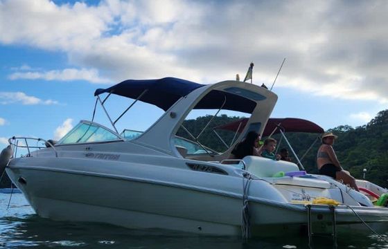 Motorboat Triton 27.5 260hp