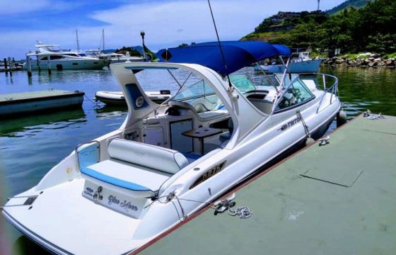 Motorboat Triton 27.5 260hp