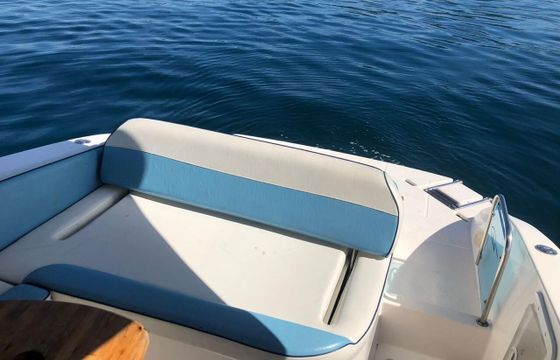 Motorboat Triton 27.5 260hp